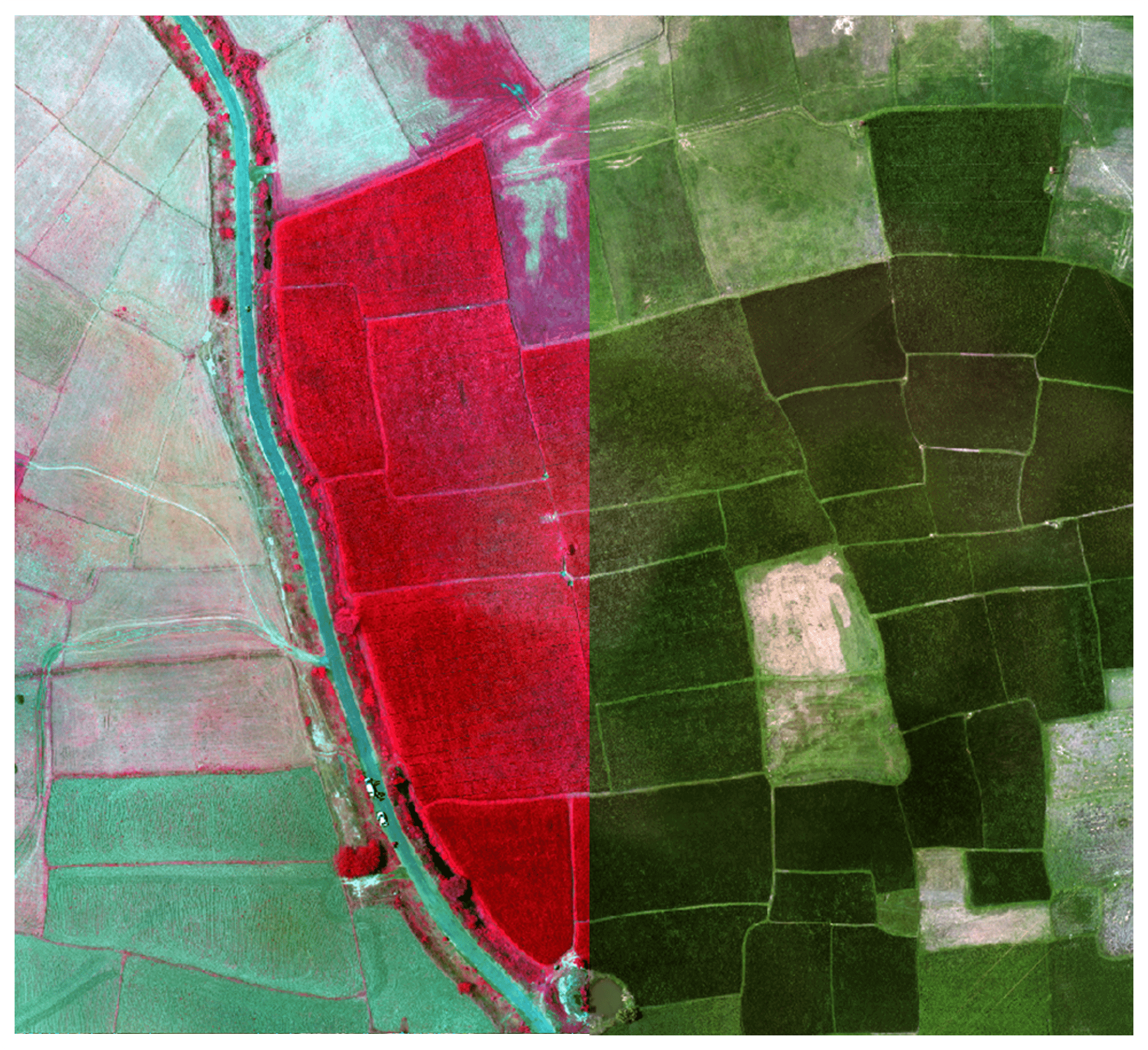 MSS_NCC Satellite Image (1)