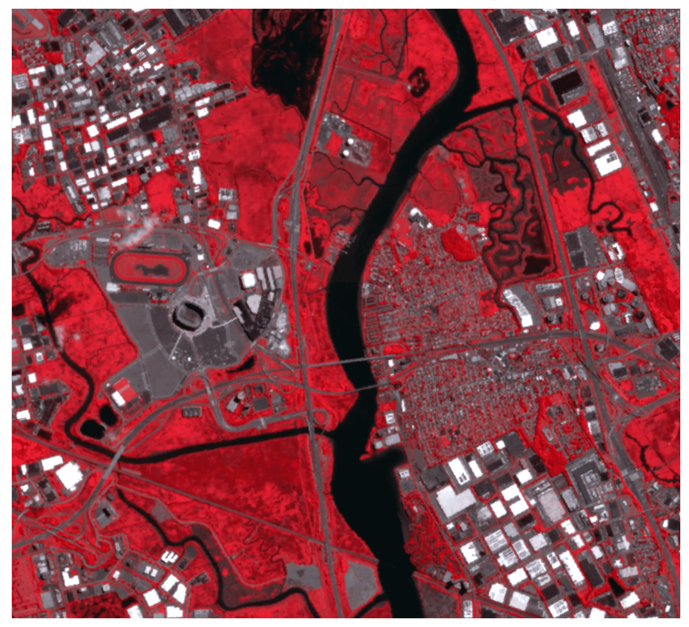 Multispectral Satellite Image (1)